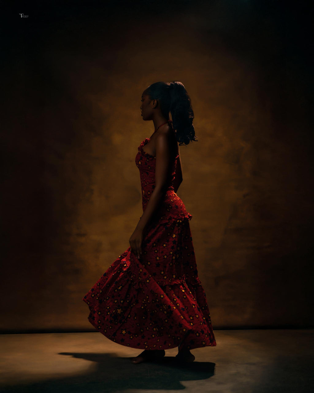 Ada Dress (KriKri Star)
