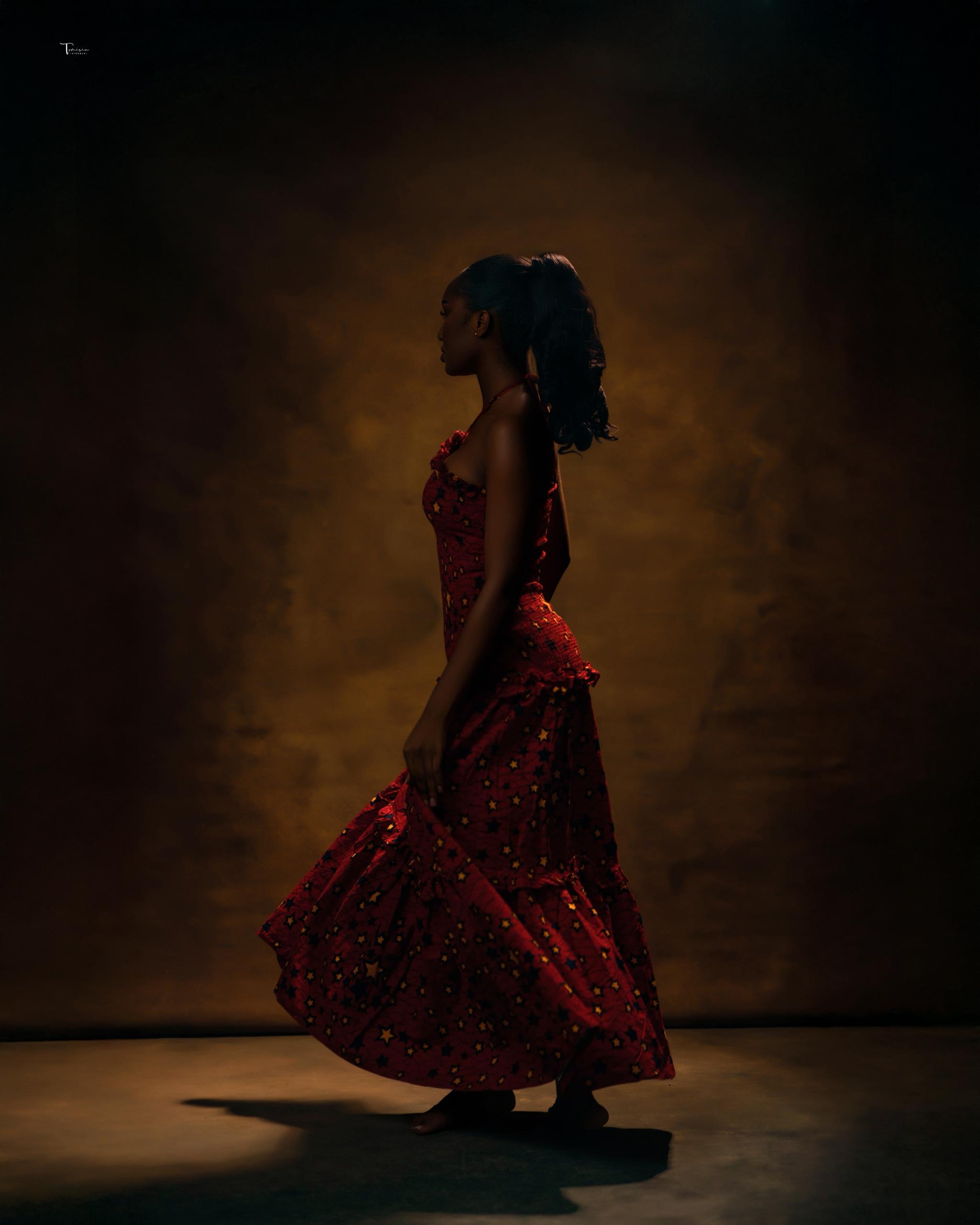 Ada Dress (KriKri Star)